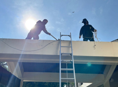 Big Cleaning Day ครั้งที่ 2 โครงการสมดุลชีวิตคนทำงาน พารามิเตอร์รูปภาพ 46